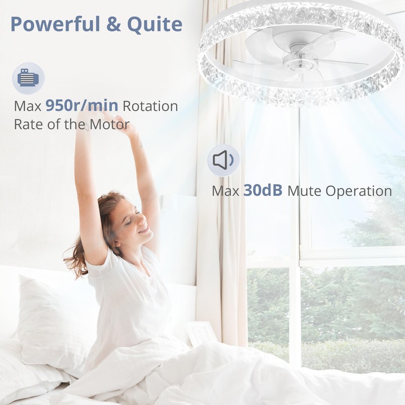 LEDIARY 22" Modern Ceiling Fans with Lights and Remote, Dimmable