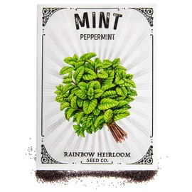 Peppermint Seeds for Planting | Common Variety (150mg Packet - Approx 1,800 Seeds) | Non-GMO & Heirloom Seeds | Illustrated Seed Packet with Growing Instructions by Rainbow Heirloom Seed Co.