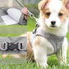 Soft Mesh No Pull Cat Harness and Lead Set for