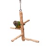 NU Perch Parrot Tree Swing for Cage (Small)