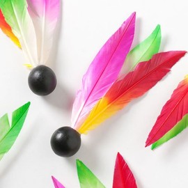 Hagoita Feather "Tsukushun" 6 Pieces | upup7