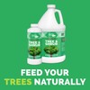 Bloom City's Tree & Shrub Fertilizer - Tree & Evergreen