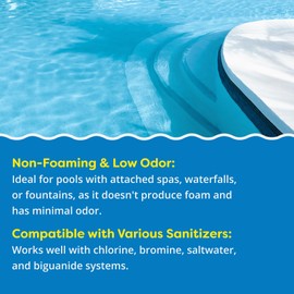 In The Swim Algaecide 60 Plus for Swimming Pools - Non-Metallic, Low Odor, Non-Foaming Algae Bloom Preventative - Chlorine Sanitizer Compatible - 1 Gallon