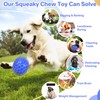 DISSKNIC DISSKNIC Indestructible Squeaky Dog Ball, Relieves Anxiety, Cleans Teeth,