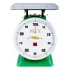 Noval Báscula Mecánica Industrial De Muelle 60 Kg Noval 30x30cm