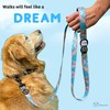 ShawnCo Dream Walk Dog Leash- Premium, Nylon Pet Leash with