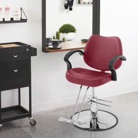 Barber Chair Salon Chair Styling Heavy Duty Hydraulic Pump Beauty Shampoo Hairdressing Chair,Extra Thick Seat and Durable Steel Construction, 360° Rolling Swivel Spa Beauty Equipment for Hair Stylist