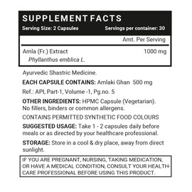 INLIFE INLIFE Natural Vitamin C Amla Extract Supplement for Men and Women - 60 Vegetarian Capsules