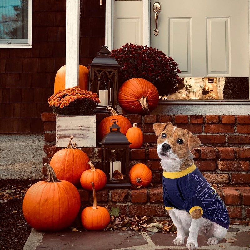OLEQE 6 Piezas de Disfraz de Perro de Halloween Divertida