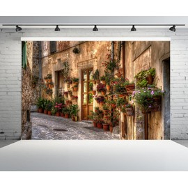 CHNYWORK 9ftx6ft Italian Pastoral Town Street Backdrop Vintage Europe Brick House Window Potted Plant Flowers Background European Travel Birthday Party Decor Kids Adults Photoshoot Props Wallpaper
