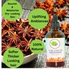 Khichi Beauty Khichi Beauty Star Anise Oil, Essential Oil, Premium