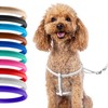 CollarDirect Rolled Leather Dog Harness Small Puppy Step-in Leash Lead