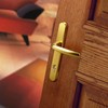 Hoppe Gold 'Atlanta' Pair Handle 92PZ or 92mm Sprung Lever