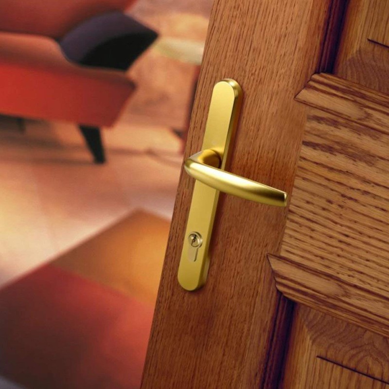Hoppe Gold 'Atlanta' Pair Handle 92PZ or 92mm Sprung Lever