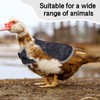 Chicken Saddle for Hens Chicken Aprons & Vest Jacket for