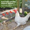Complete Poultry Watering Kit, Chicken Water Cup System with PVC