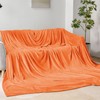 BEDELITE Big Fleece Blanket 120" x 120" (10' x 10'),