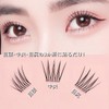 Easy to install one-step false eyelashes, no glue needed, partial