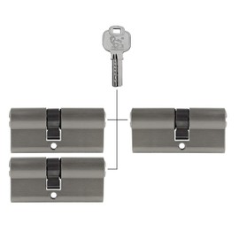 3x Profile Cylinder 65 mm 30/35 Keyed Alike Including 15 Keys