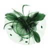 Ruixib Women's Fascinator Feather Flowers Hair Clip Hair Accessory Hats