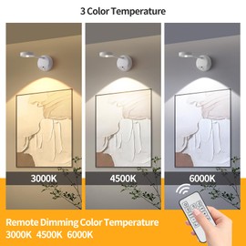 ZOOPEEN 2 Pack Rechargeable Cordless Picture Light,2200mAH Battery Operated Motion Sensor Wall Sconces,Remote Control 3 Color & Stepless Dimming Up Wall Art Lights for Paintings Accent Lighting(White)