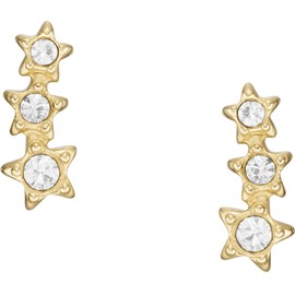 Fossil Jewellery, earrings, STGO, Fabric