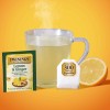 Twinings Tea Bag Sampler Assortment 44 Count Variety Pack of