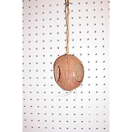 Jungle Beaks 3 Hole Coconut Swing Bird Parrot Toy for Finch Conure Parakeets, Lorys Quakers & Alike