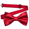 Gusleson Paisley Red Bow Tie Pocket Square Set for Wedding