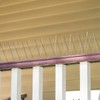 BIRD BLINDER Steel Bird Spikes for Pigeons and Other Small