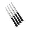 Tefal Ice Force Stainless Steel Steak Set of 411 cm,