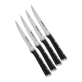 Tefal Ice Force Stainless Steel Steak Set of 411 cm, K232S414, Silver/Black