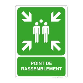 AUA SIGNALETIQUE 202138-AI-p-210x300 with Signal Sign, Green, 210 x 300 mm