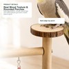 Bird Playground Natural Wood Parrot Stand with Ladder Swing Food