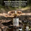 Cola de Pavo (Trametes Versicolor) - Extracto Líquido de Doble