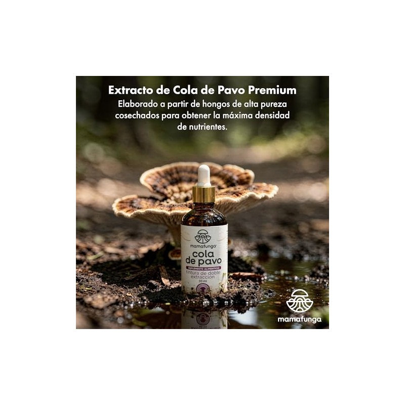 Cola de Pavo (Trametes Versicolor) - Extracto Líquido de Doble