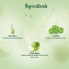 Biotique Green Apple Fresh Daily Purifying Shampoo and Conditioner for