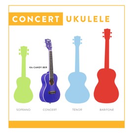 Kala Brand Music Co., 4-String Ukulele, Right, Purple (KA-Candy-BER)