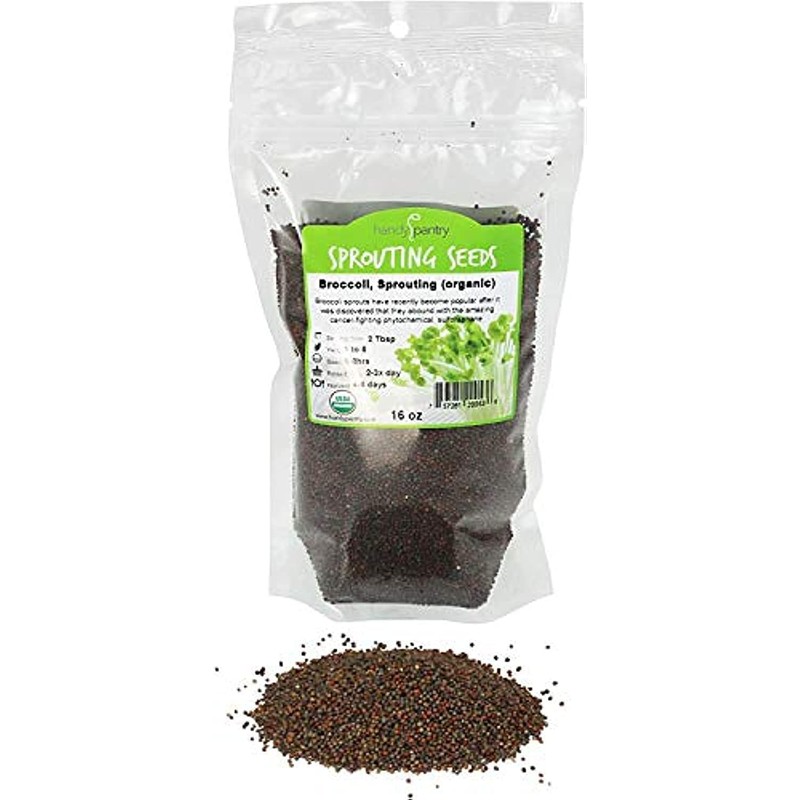 Handy Pantry Broccoli Sprouts Seed Organic- 1 Lb - Non-GMO