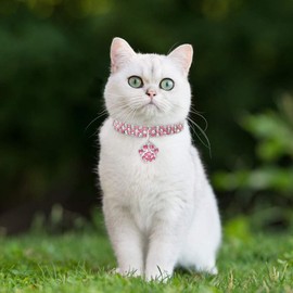 RayMinsino Pet Collar with Diamonds, Adjustable Crystal Diamond, Elastic Heart Claw Pendant, Wedding Cat and Dog, Small Pet Necklace Jewellery