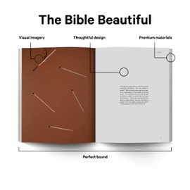 Book of James - Alabaster Bible