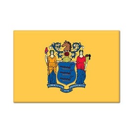 New Jersey State Flag Fridge Magnet