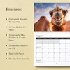 2025 Animal Selfie Wall Calendar Featuring Cute & Funny Images
