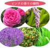 tokotowa organics pure essence mist pink