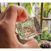 Reusable Ice Cubes, Pack of 50 Permanent Ice Cubes, Clear