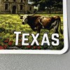 TEXAS Sticker Stickers Water Bottle Car Computer Motorhome 3x3 Camper