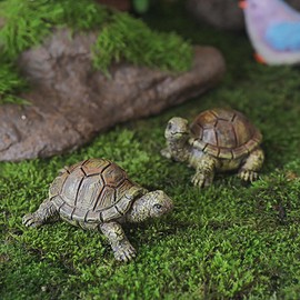 siqiaole Realistic Simulation Mini Turtle Figurines Resin Set of 2, Handmade Tortoise Miniature Decor for Aquarium, Terrarium, Fairy Garden, Bonsai Landscape and Shelf Display (2.3 in & 1.8 in)