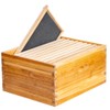 10-Frame Beehive Box Langstroth Deep Brood Box Dipped in 100%