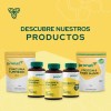Kit 3 Piezas Suplemento Jengibre Cúrcuma (60 Caps) Pronat