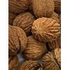 Spuun Foods Eastern Black Walnuts In Shell 1 Pound